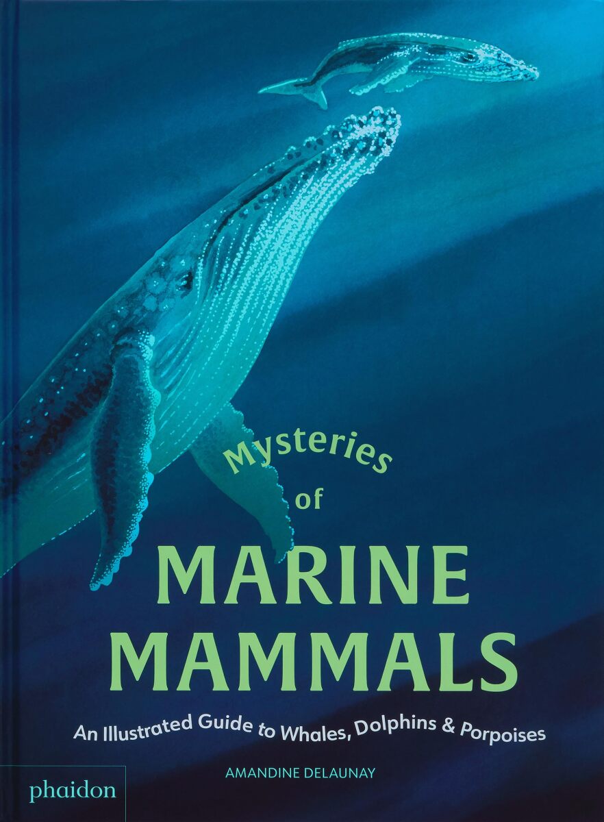 Kniha Mysteries of Marine Mammals