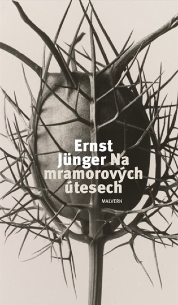 Kniha Na mramorových útesech