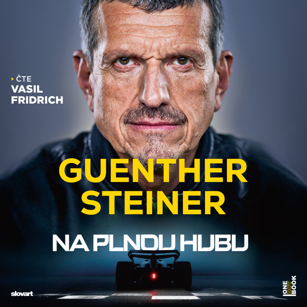 Na plnou hubu – Parádní desetiletí ve formuli 1 - Guenther Steiner