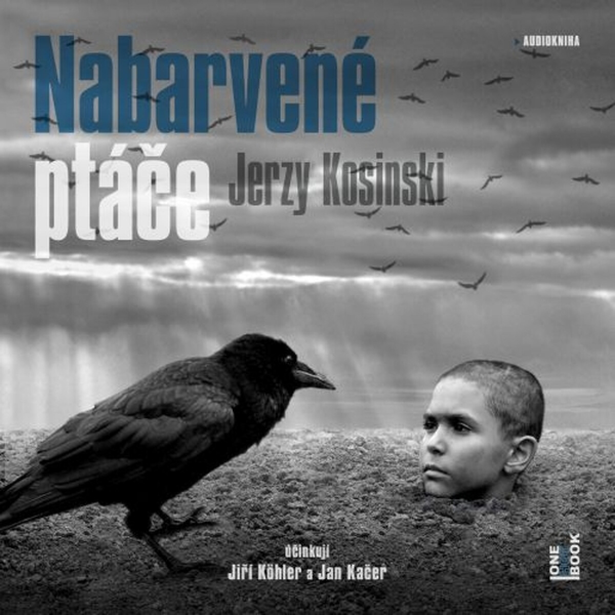 Levně Nabarvené ptáče - Jerzy Kosiński - audiokniha