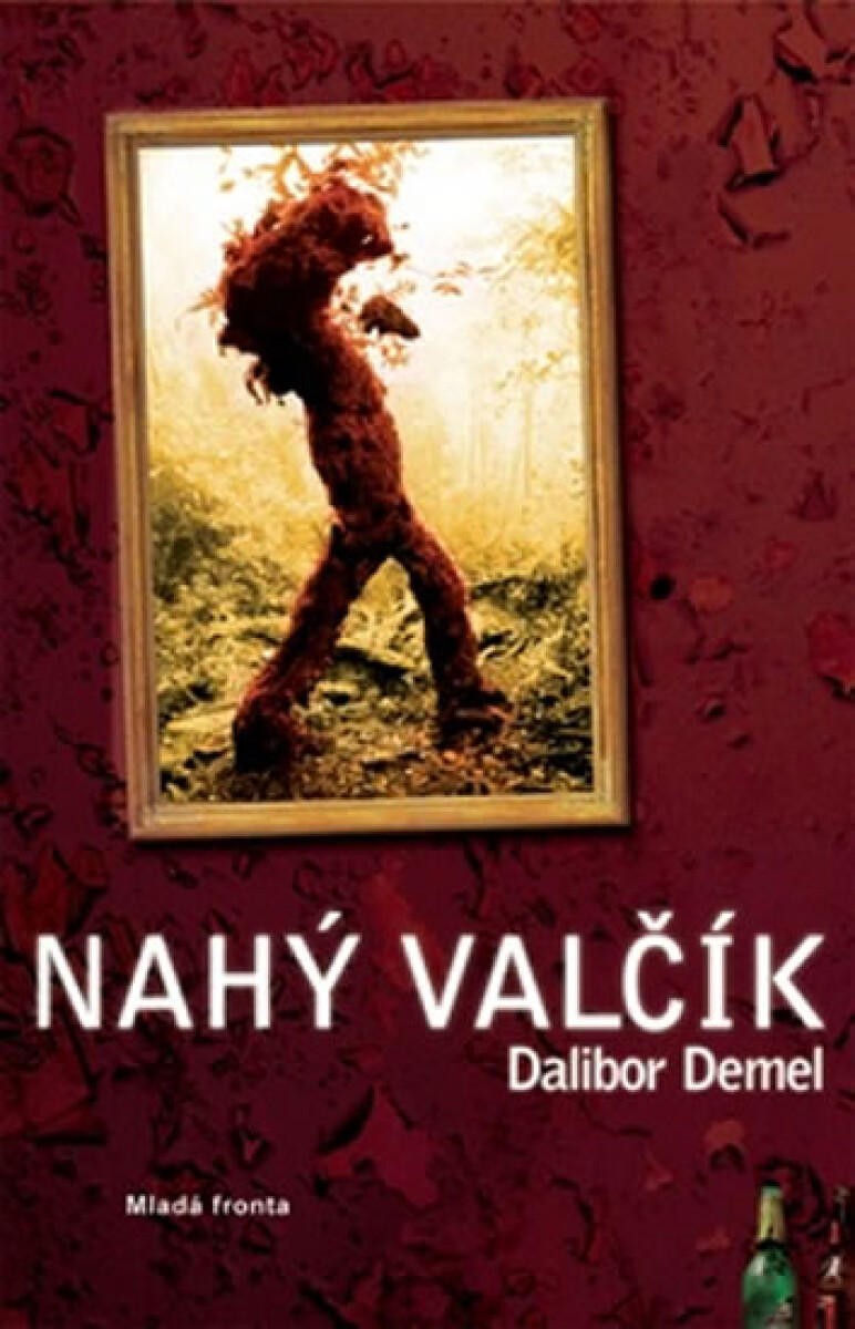 Kniha Nahý valčík