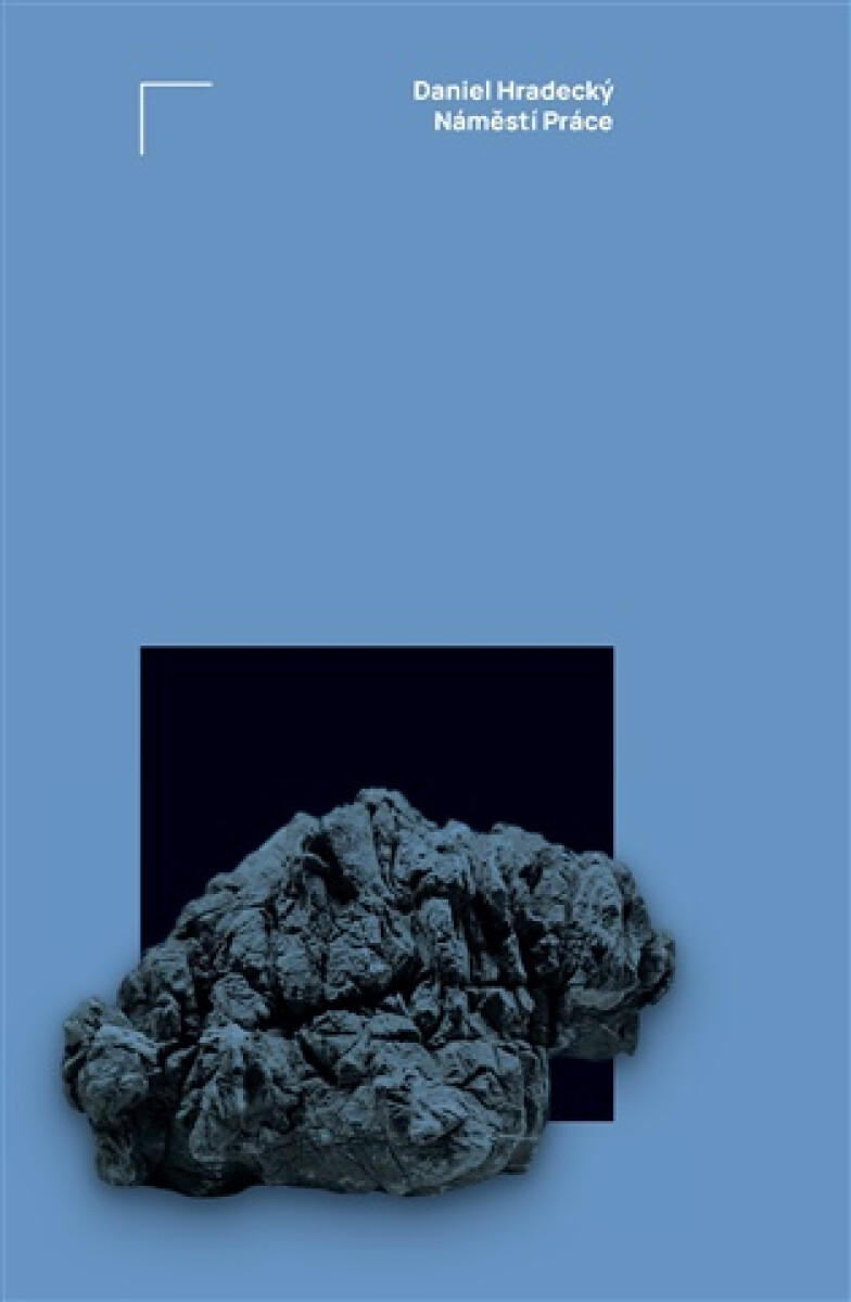 Kniha Náměstí Práce