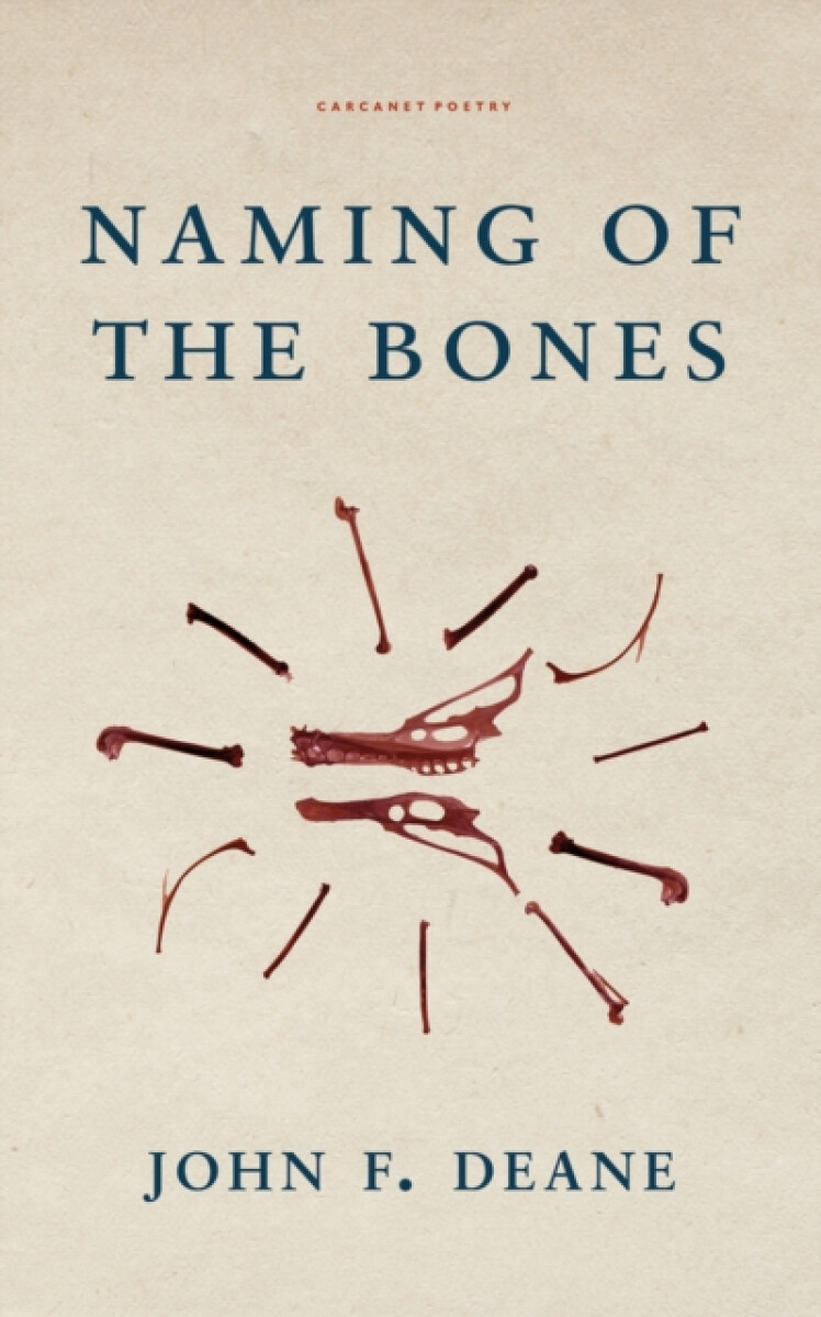 Kniha Naming of the Bones