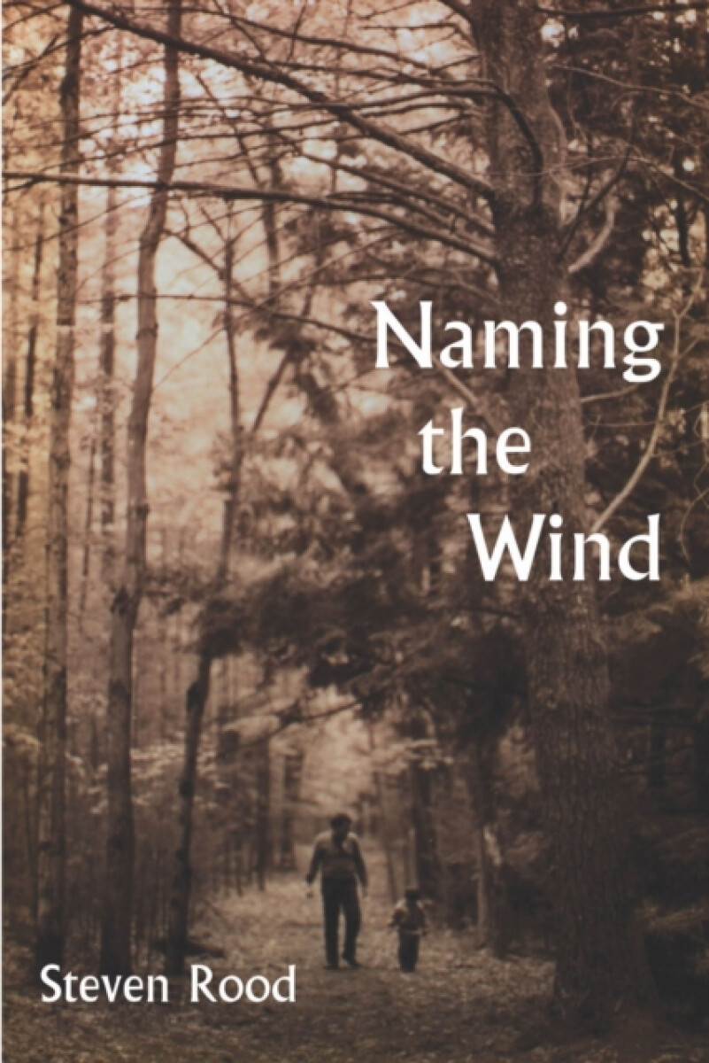 Kniha Naming the Wind