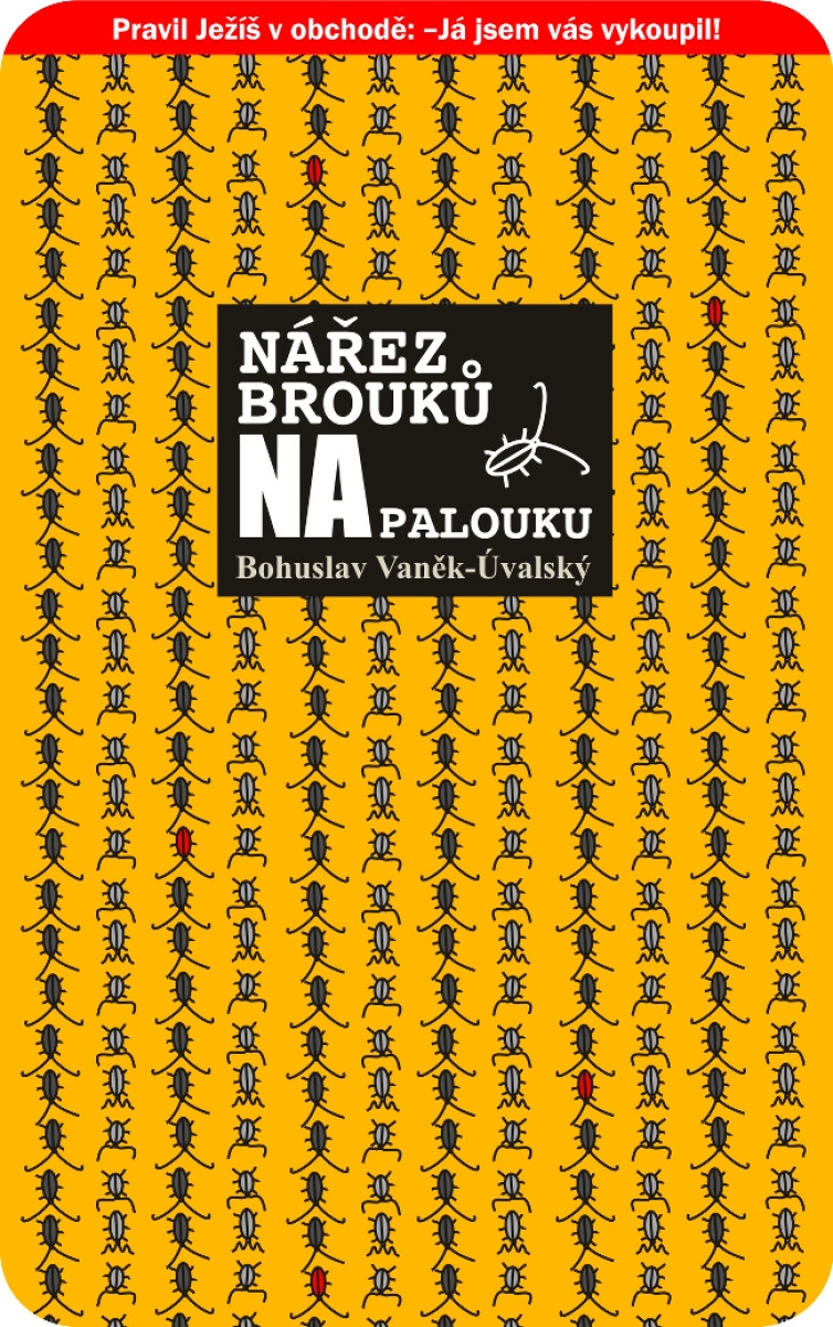 Nářez brouků na palouku - Bohuslav Vaněk-Úvalský