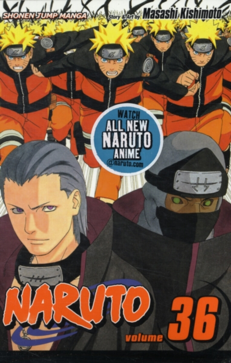 Kniha Naruto, Vol. 36: Cell Number 10