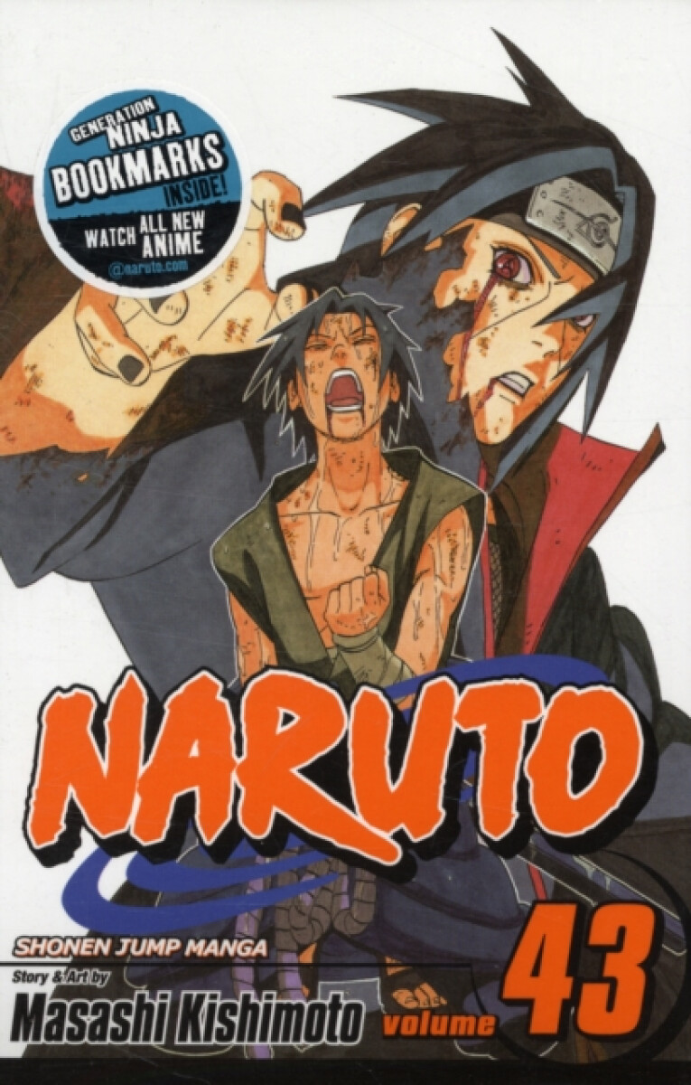 Kniha Naruto, Vol. 43: The Man with the Truth