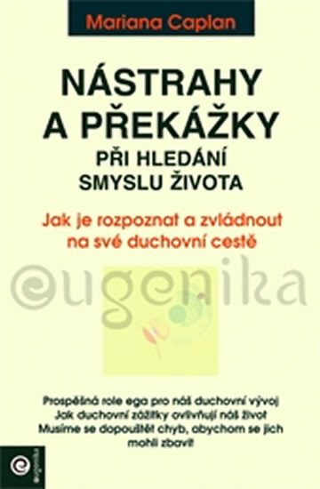 Kniha Nástrahy a překážky při hledání smyslu života