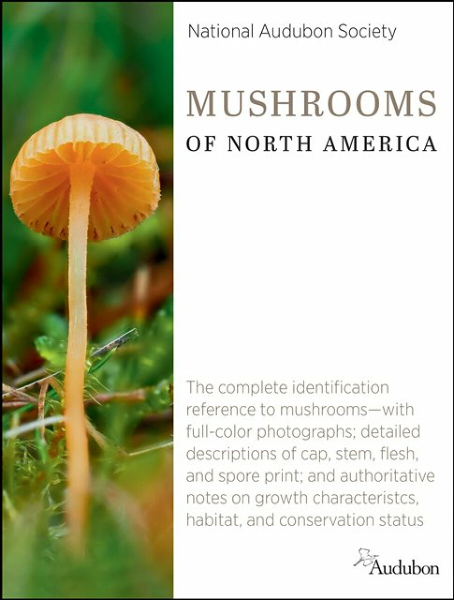 Kniha National Audubon Society Mushrooms of North America