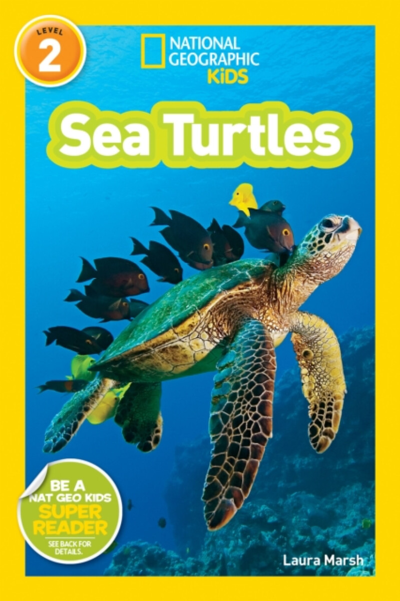 Kniha National Geographic Kids Readers: Sea Turtles