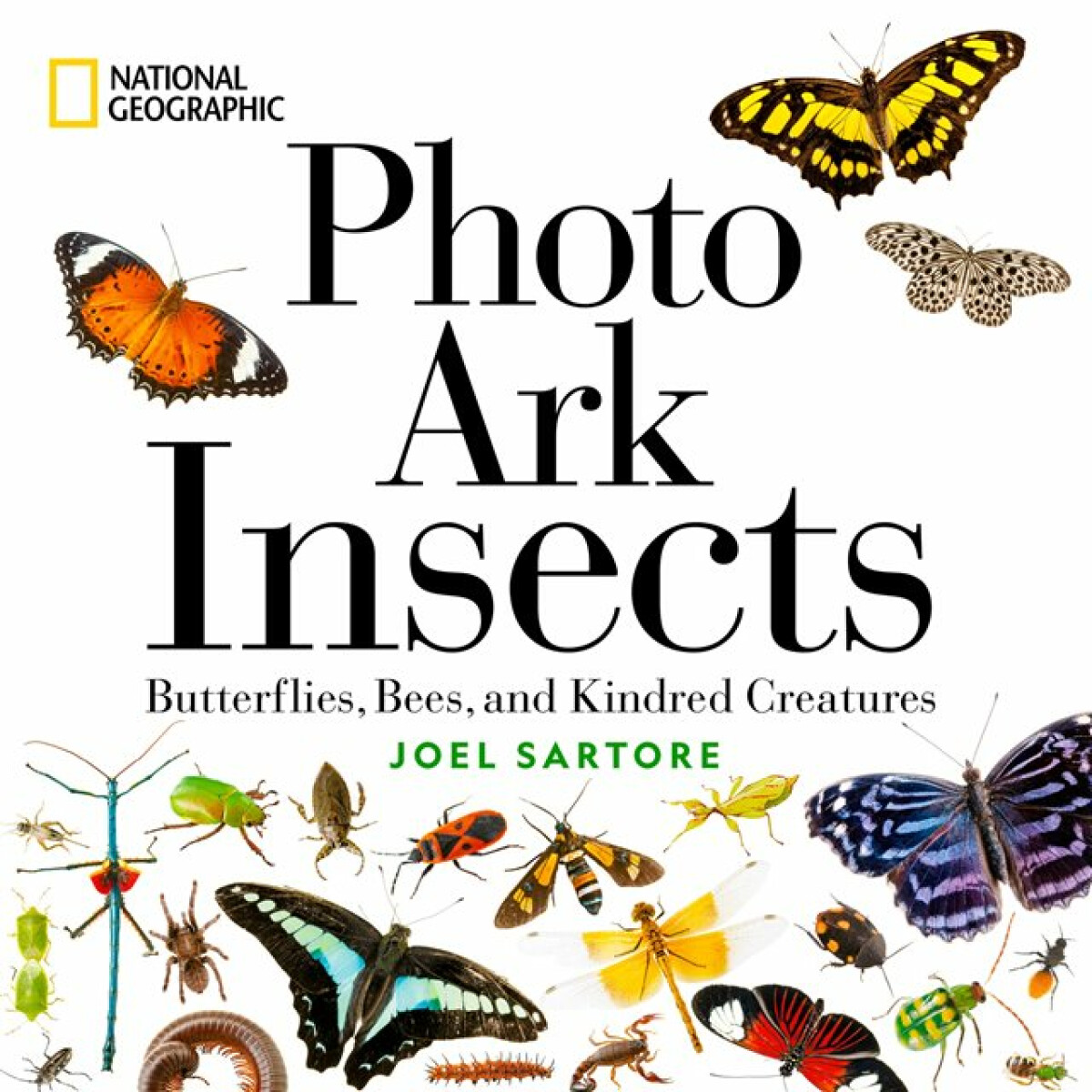 Kniha National Geographic Photo Ark Insects