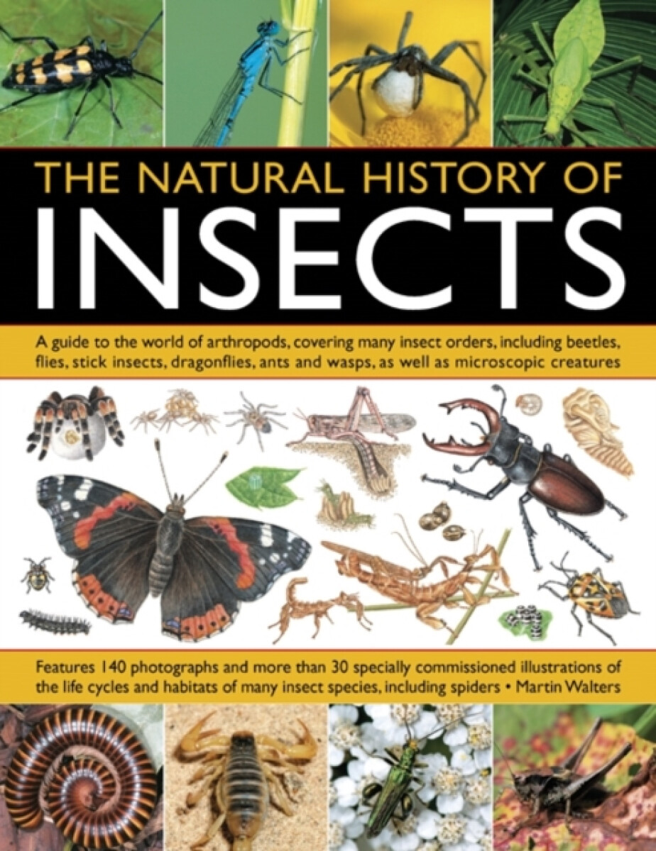 Kniha Natural History of Insects