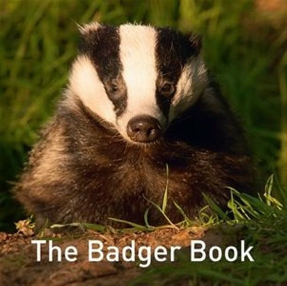 Kniha Nature Book Series, The: The Badger Book