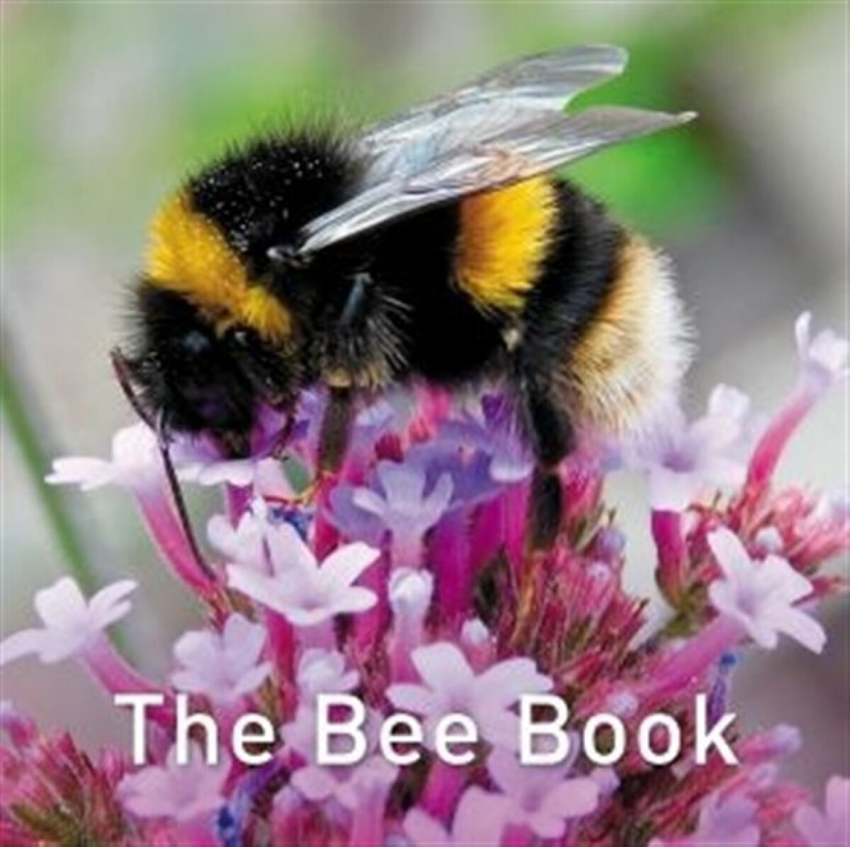 Kniha Nature Book Series, The: The Bee Book