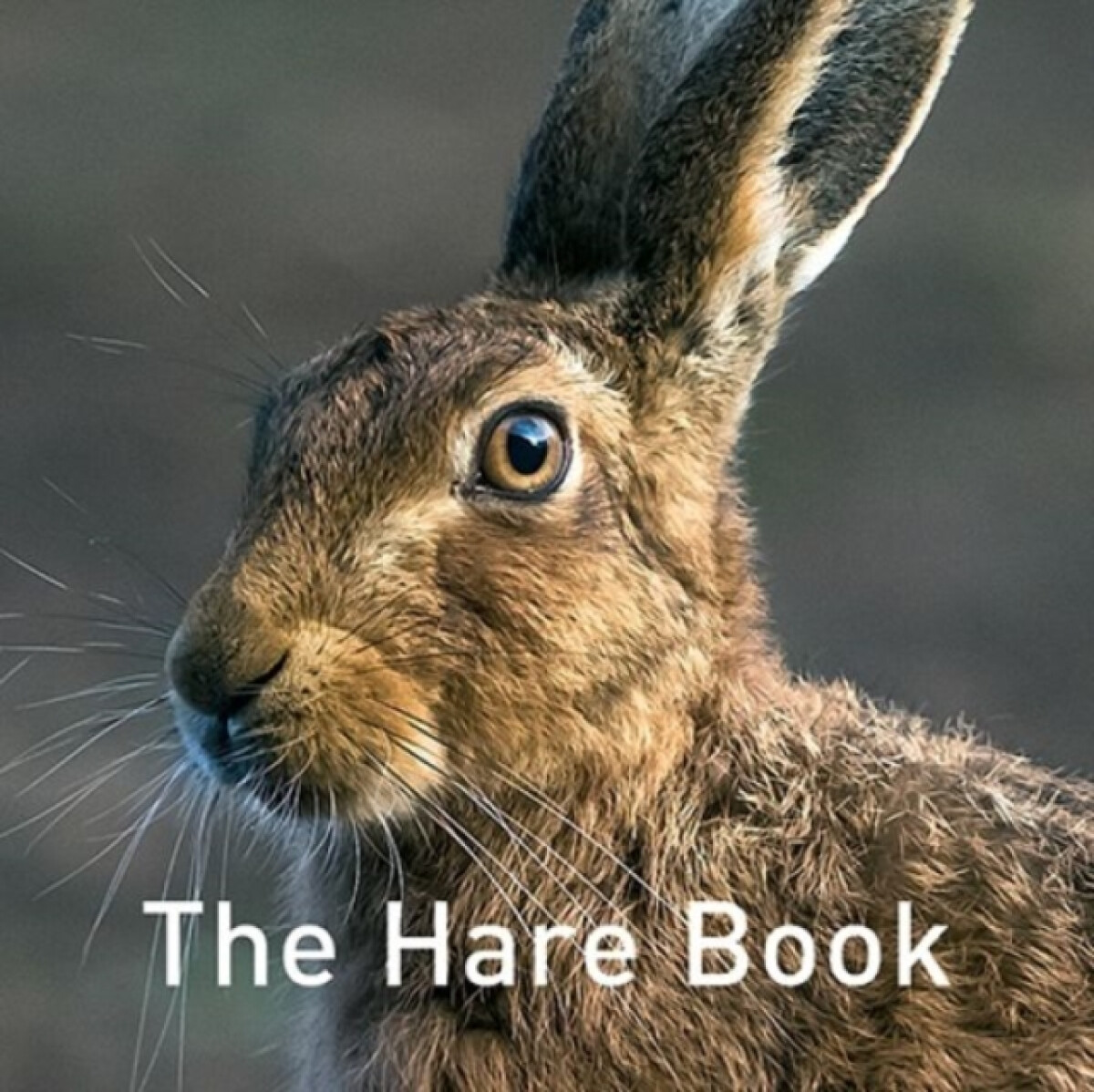 Nature Book Series: The Hare Book - The Hare Preservation Trust