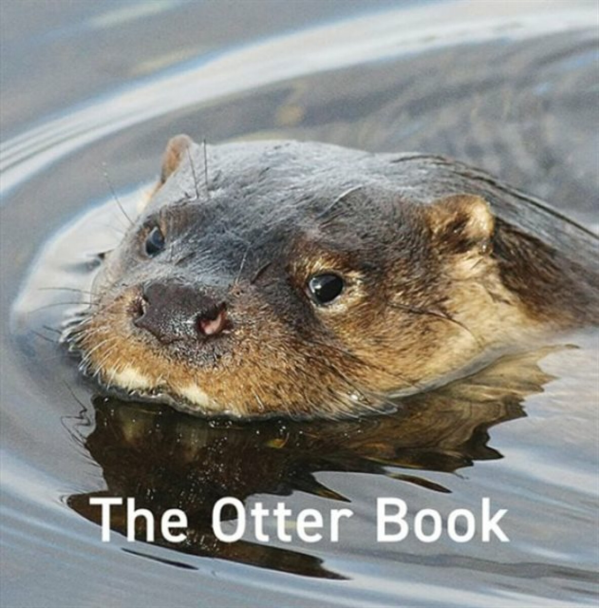 Kniha Otter Book, The