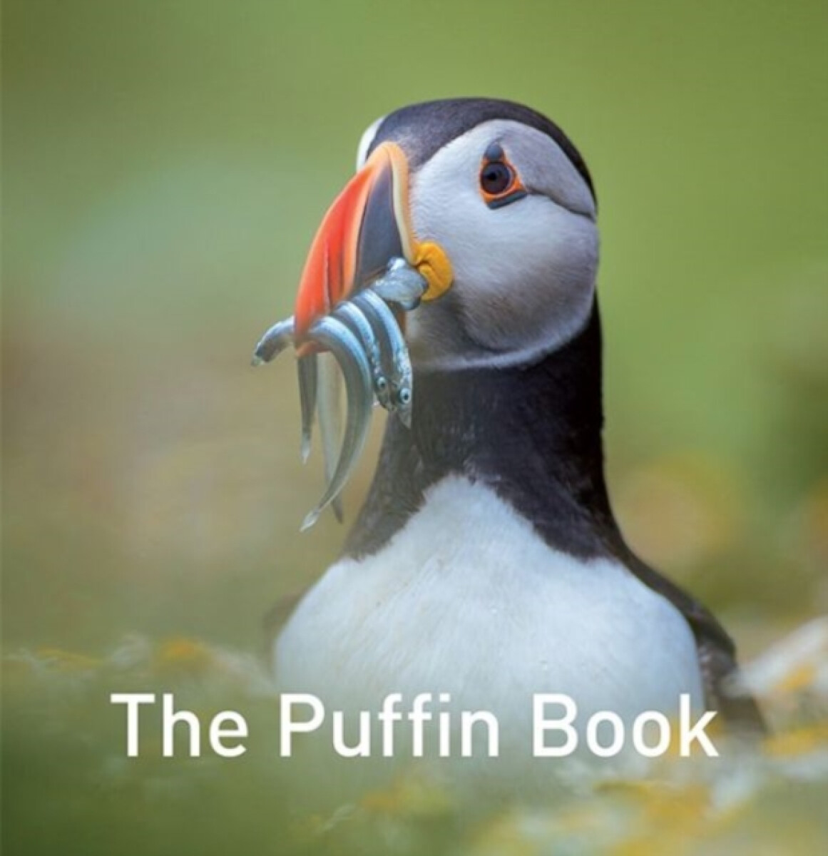 Kniha Nature Book Series, The: The Puffin Book