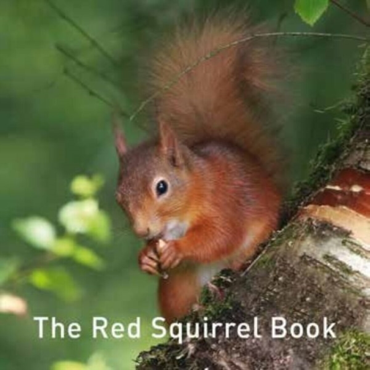 Kniha Nature Book Series, The: The Squirrel Book