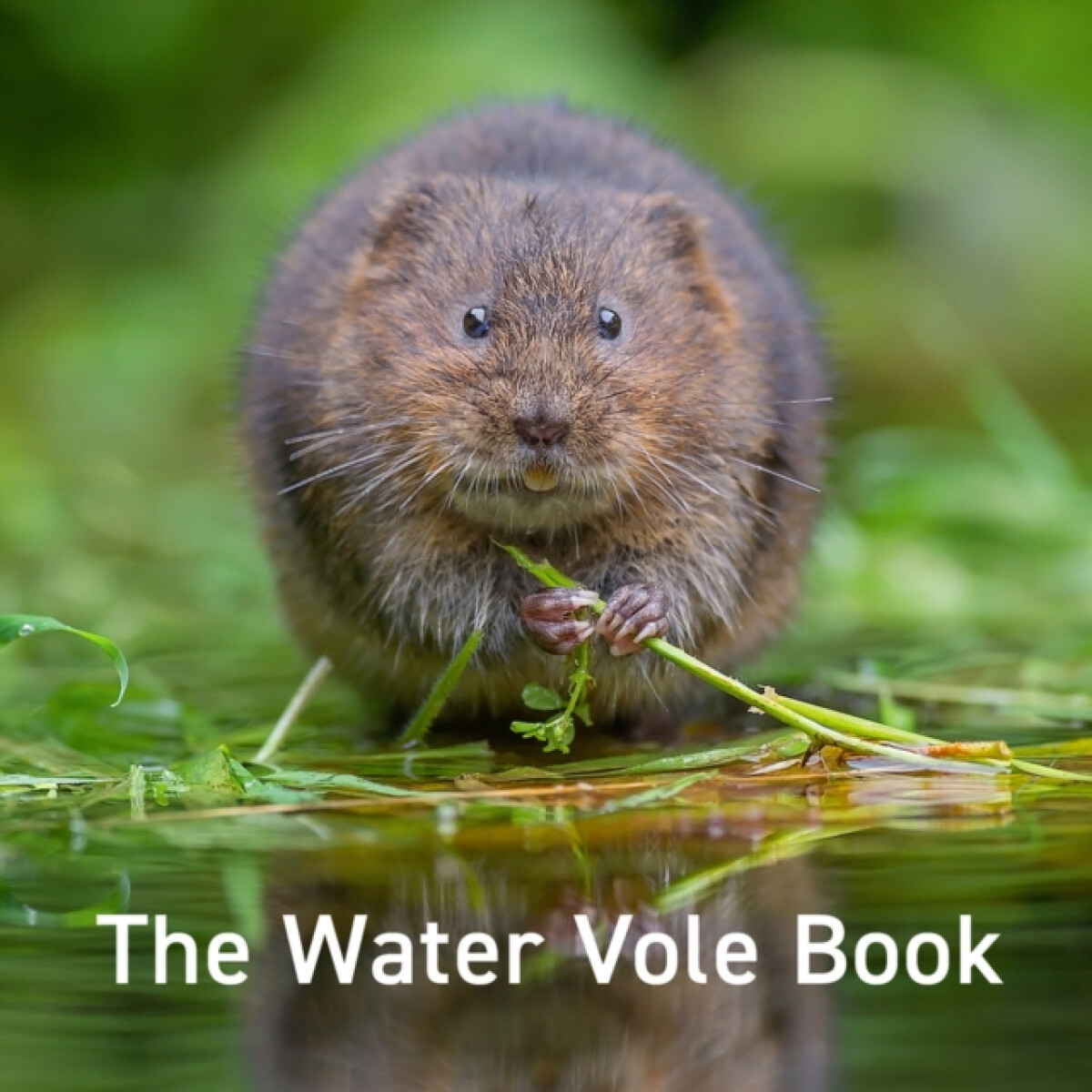 Kniha Water Vole Book, The