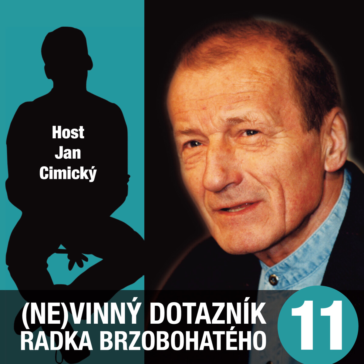 Levně (Ne)vinný dotazník Radka Brzobohatého 11. - audiokniha