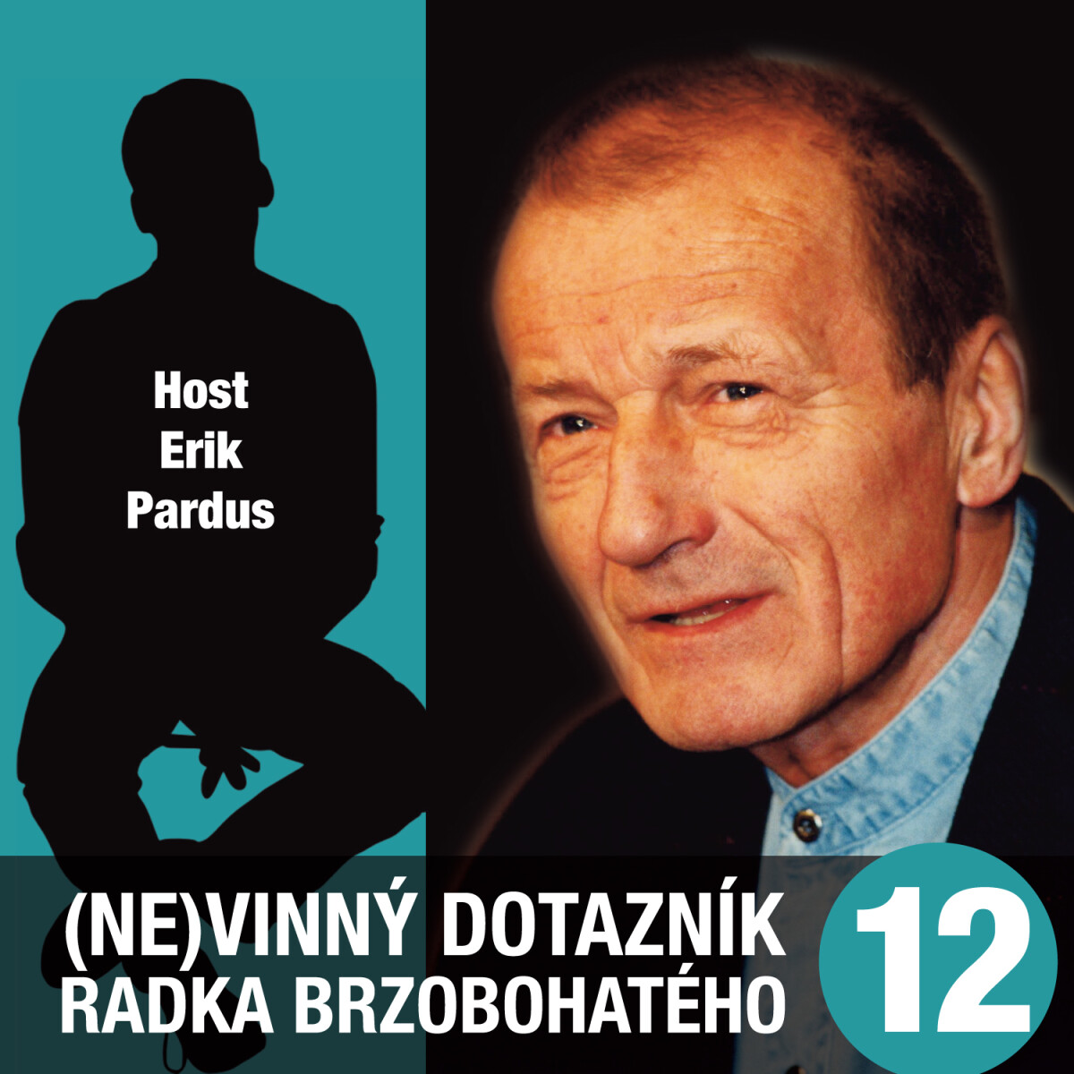 Levně (Ne)vinný dotazník Radka Brzobohatého 12. - audiokniha