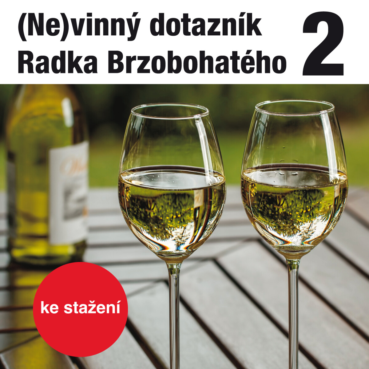Levně (Ne)vinný dotazník Radka Brzobohatého 2. - audiokniha