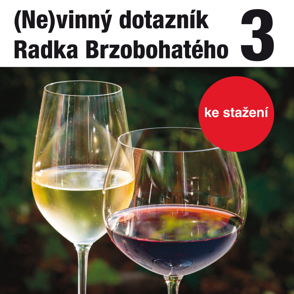 Levně (Ne)vinný dotazník Radka Brzobohatého 3. - audiokniha