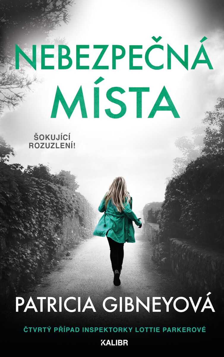 Levně Nebezpečná místa - Patricia Gibneyová