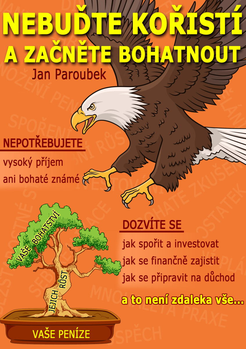Nebuďte kořistí a začněte bohatnout - Jan Paroubek