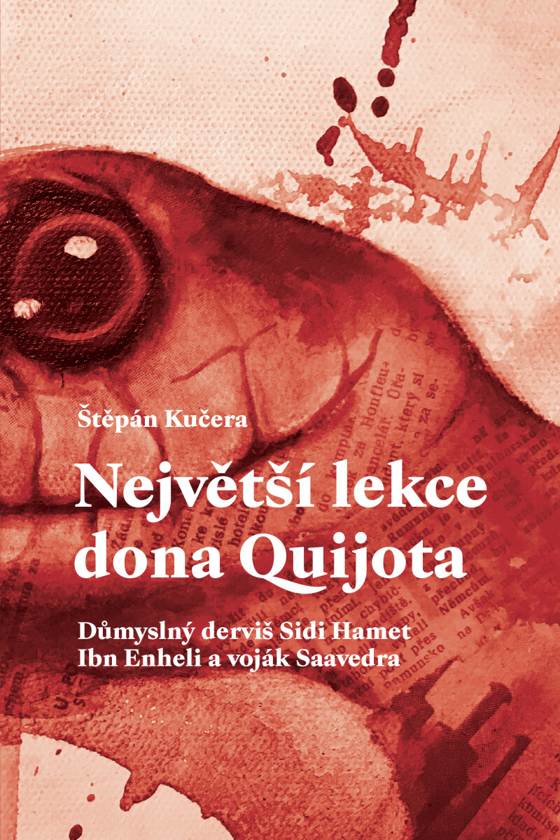 Největší lekce dona Quijota - Štěpán Kučera
