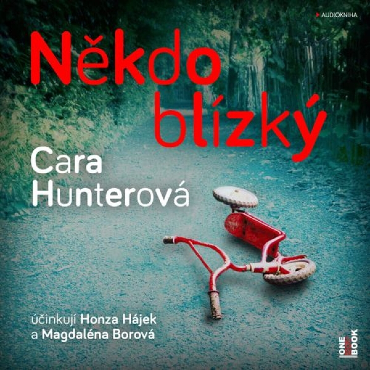 Levně Někdo blízký - Cara Hunterová - audiokniha