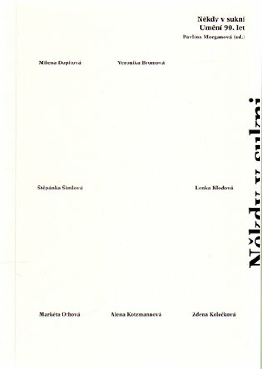 Kniha Někdy v sukni