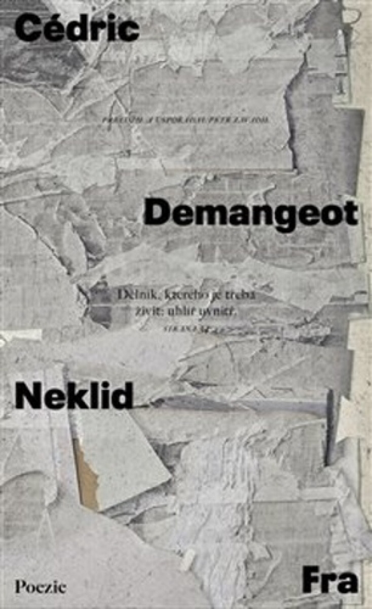 Kniha Neklid