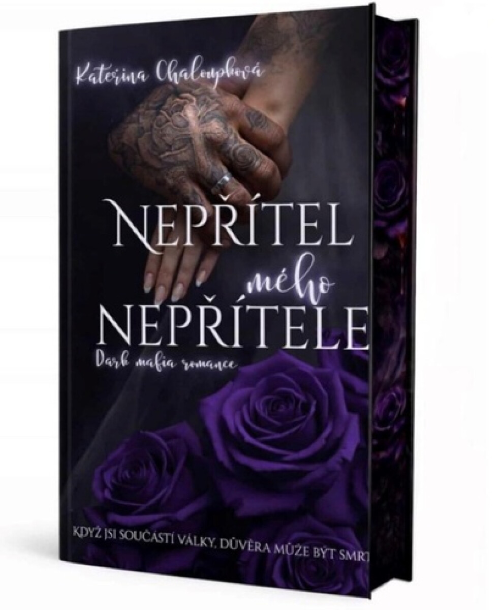 Kniha Nepřítel mého nepřítele