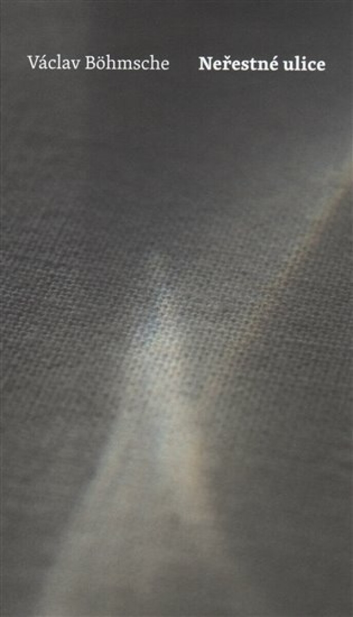 Kniha Neřestné ulice