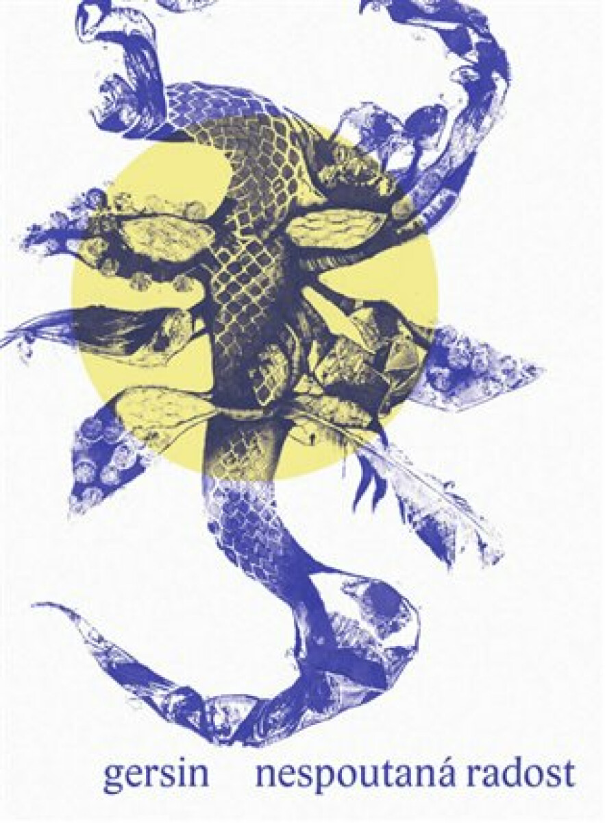 Kniha Nespoutaná radost