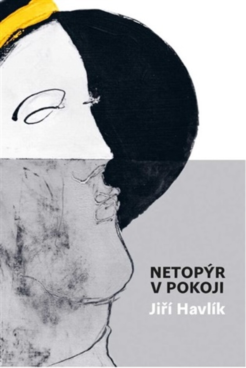 Kniha Netopýr v pokoji