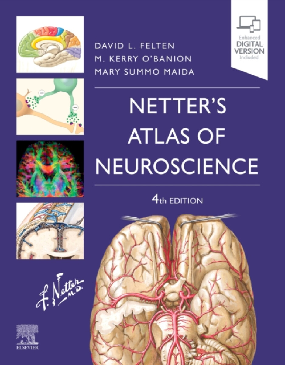Kniha Netter's Atlas of Neuroscience