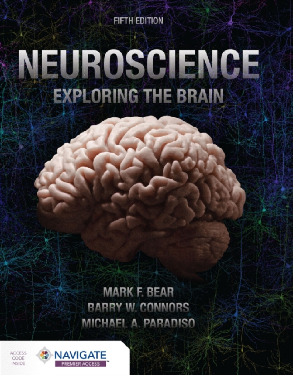 Kniha Neuroscience: Exploring the Brain