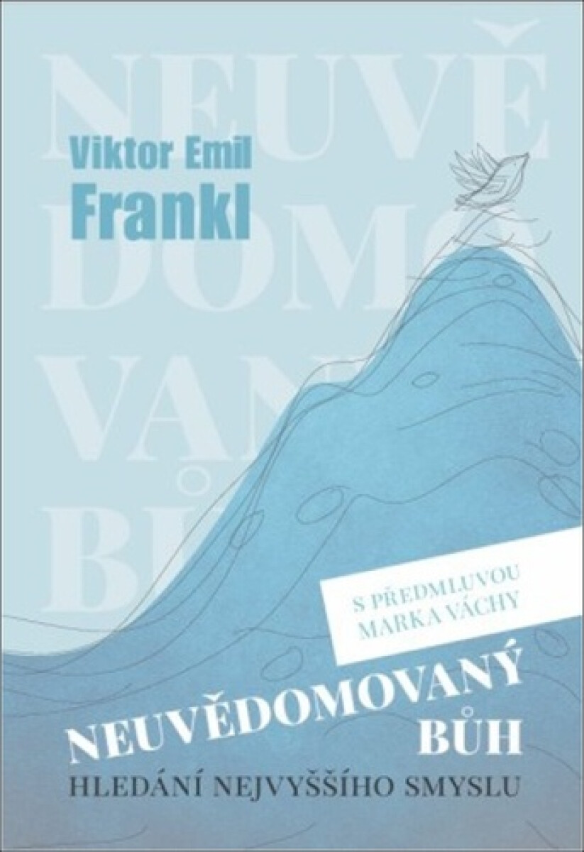 Kniha Neuvědomovaný Bůh - Hledání nejvyššího smyslu