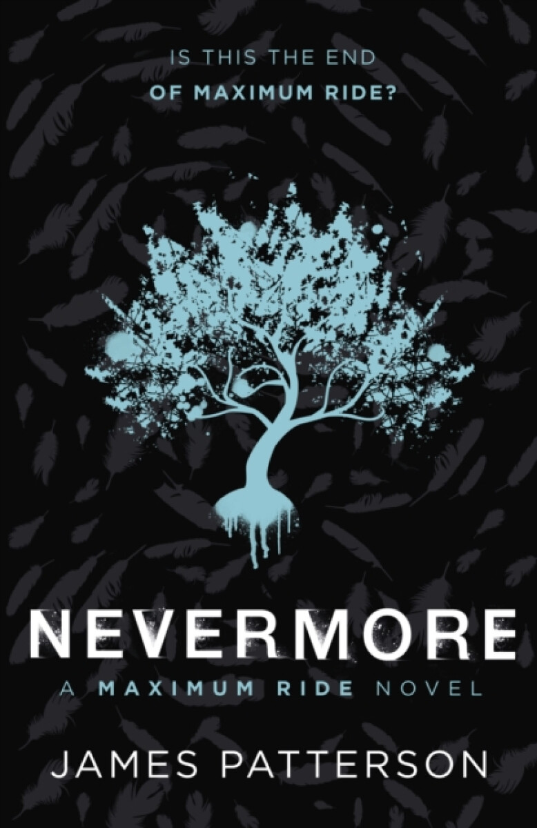 Kniha Nevermore: A Maximum Ride Novel