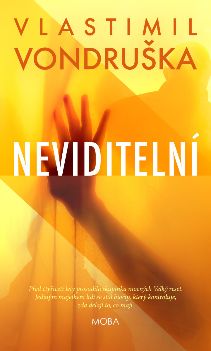 Levně Neviditelní - Vlastimil Vondruška