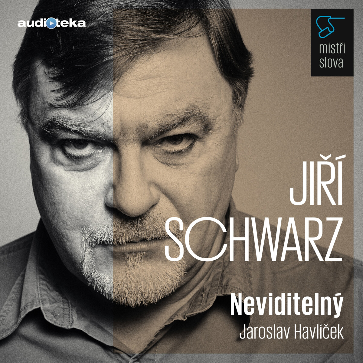 Levně Neviditelný - Mistři slova - Jaroslav Havlíček - audiokniha