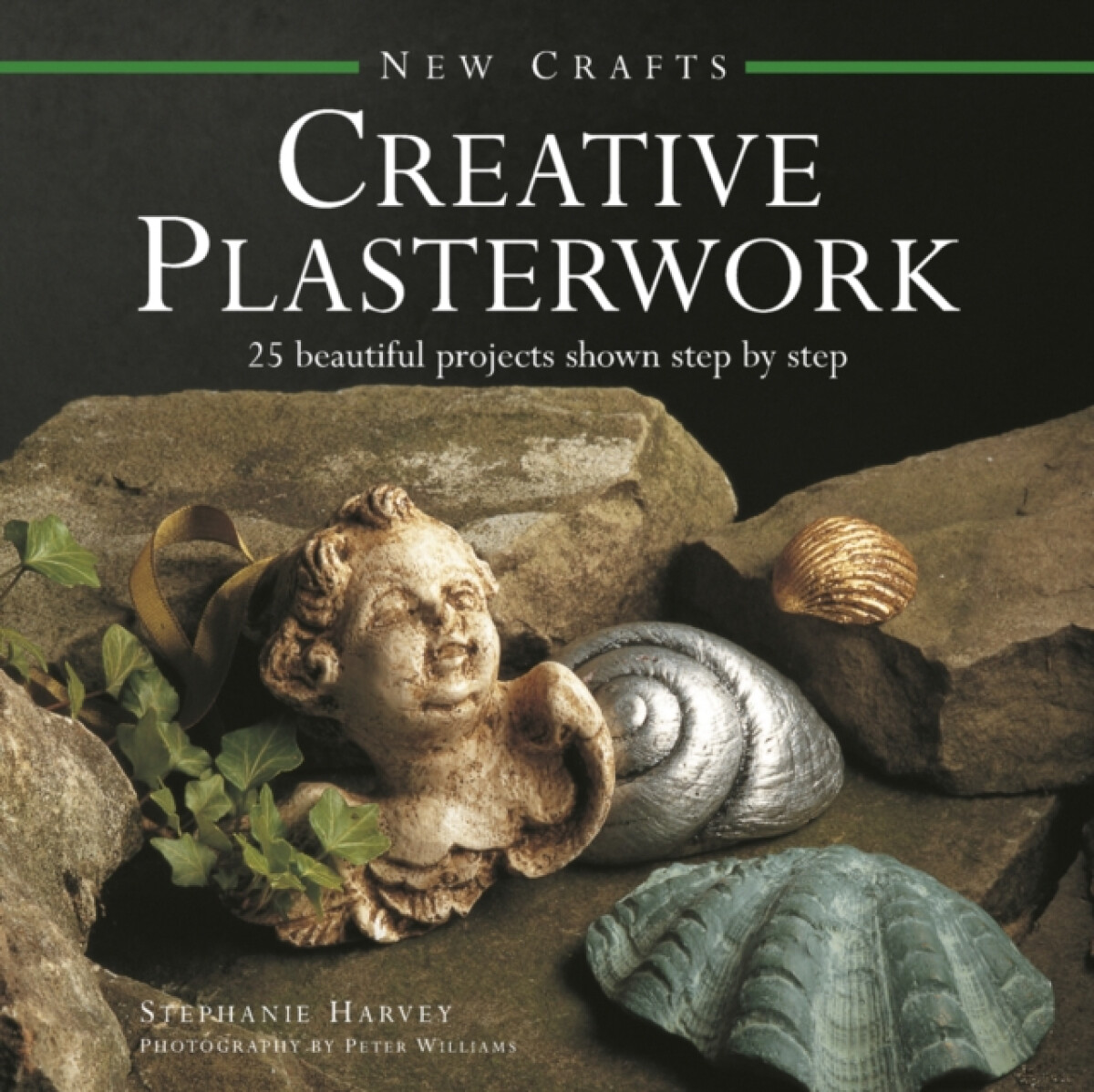 Kniha New Crafts: Creative Plasterwork