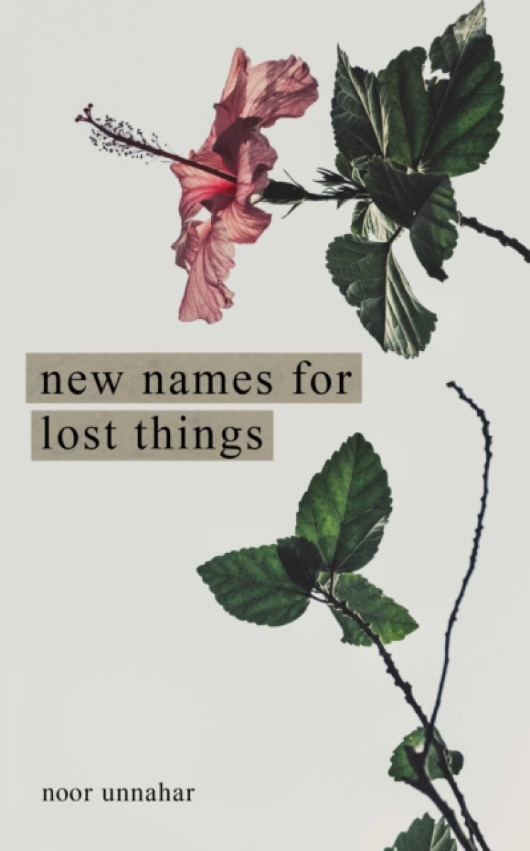 Kniha New Names for Lost Things
