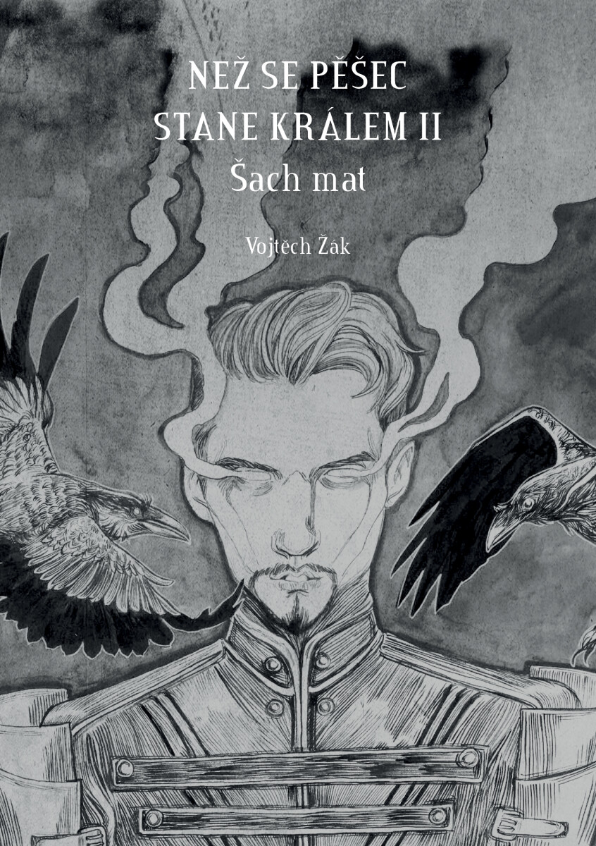 Levně Než se pěšec stane králem II - Vojtěch Žák