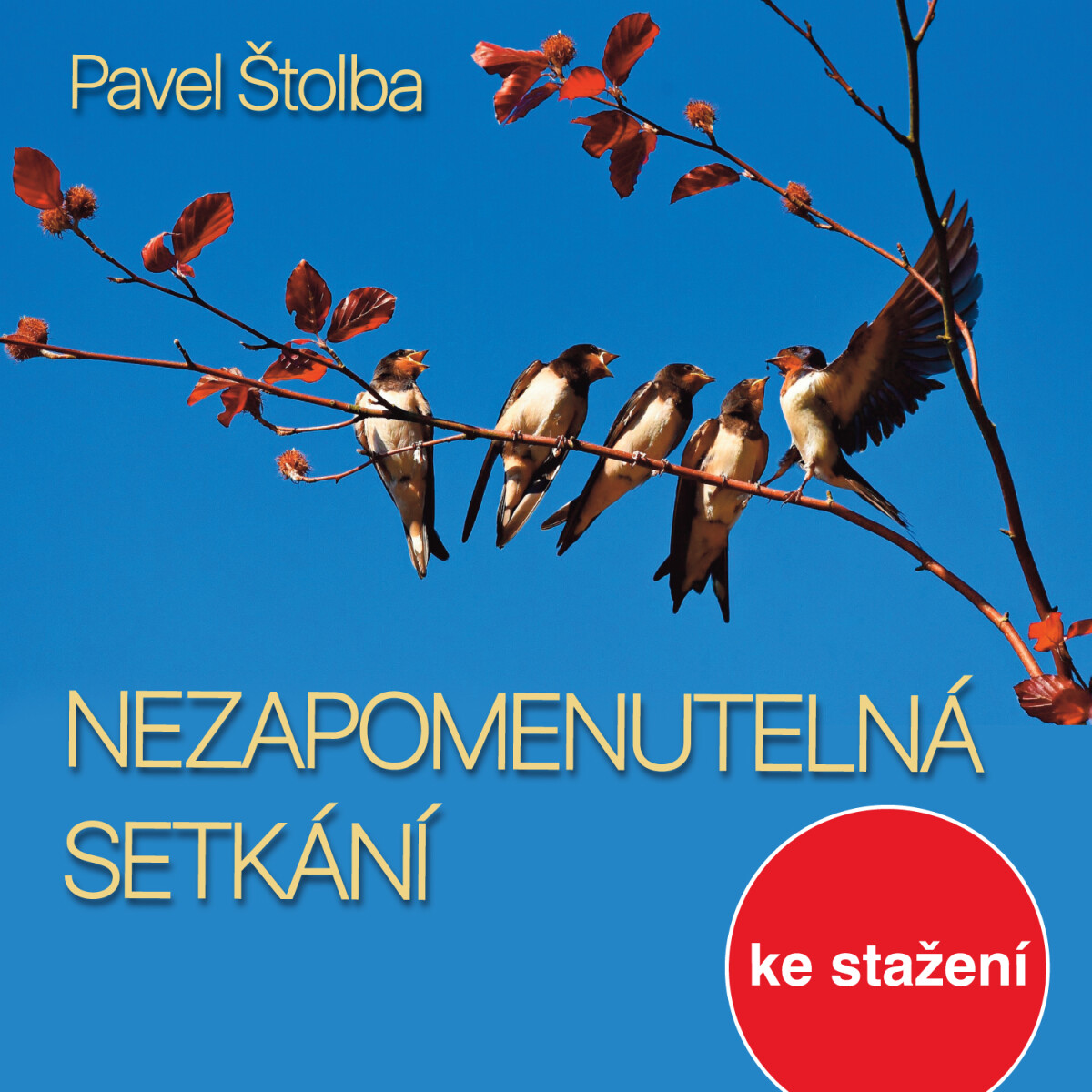 Levně Nezapomenutelná setkání - Pavel Štolba - audiokniha