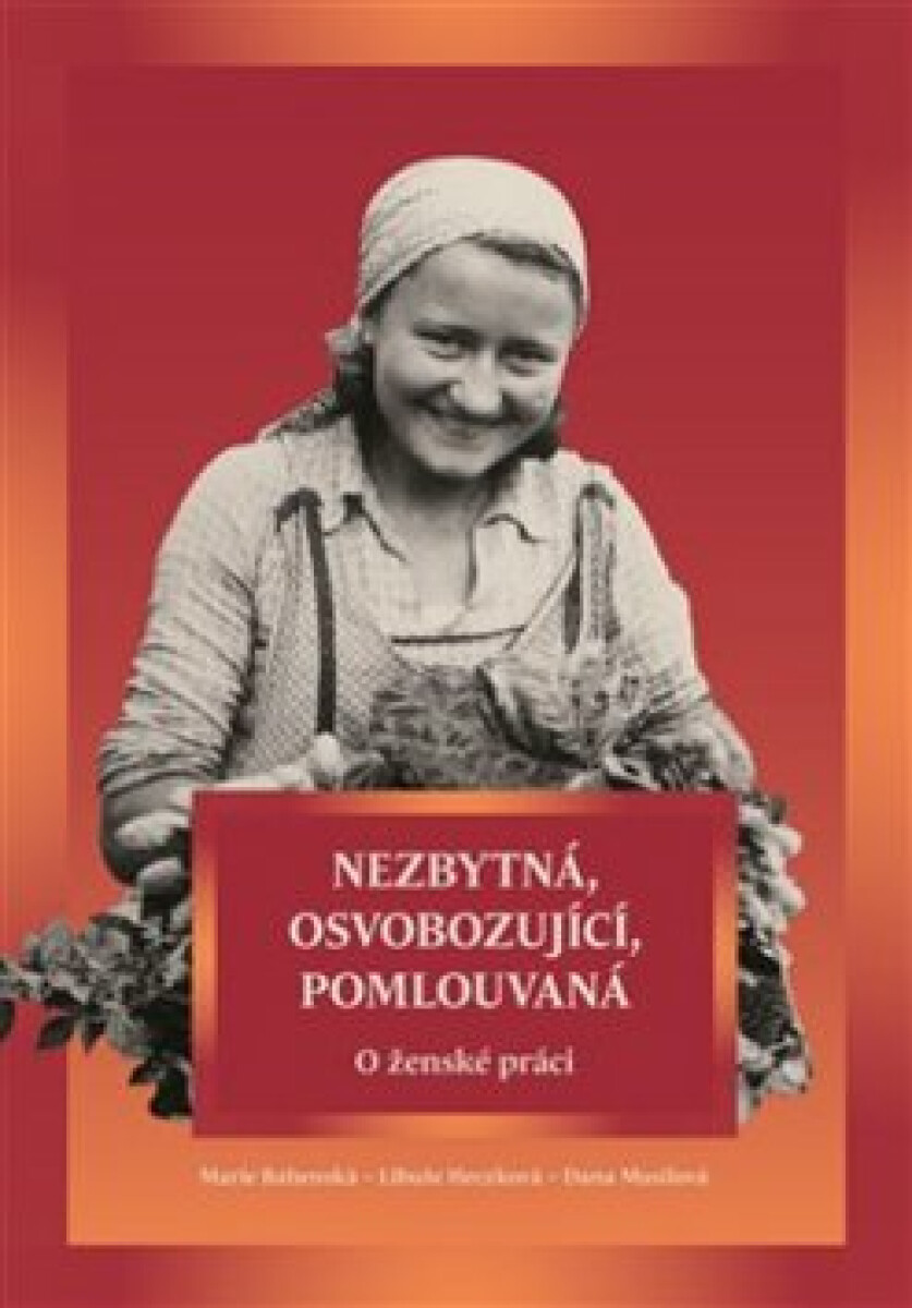 Kniha Nezbytná, osvobozující, pomlouvaná - O ženské práci