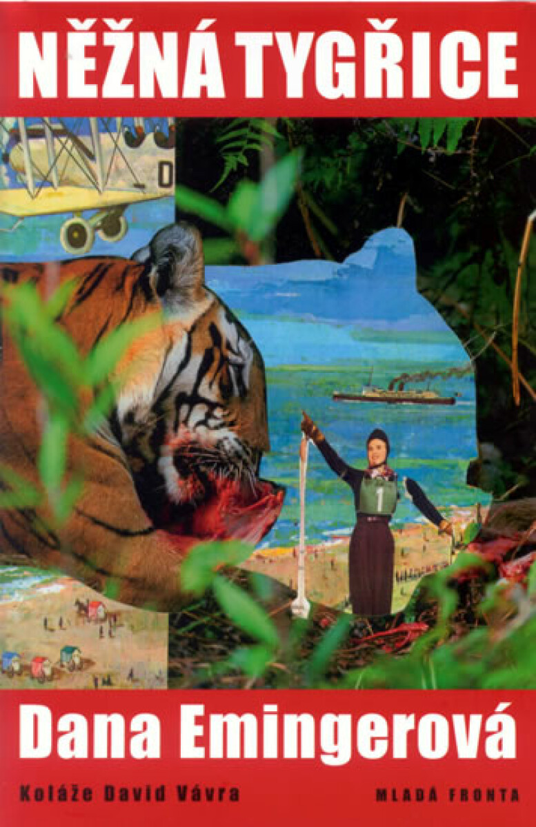 Kniha Něžná tygřice