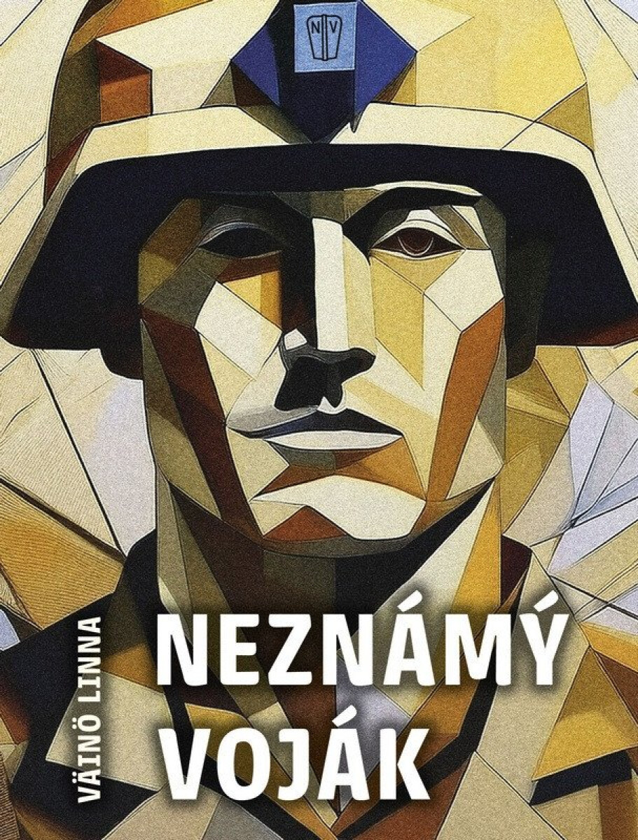 Kniha Neznámý voják